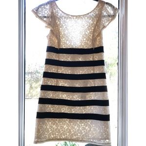 BCBG Cream Lace Dress/Black Stripe